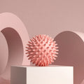 Hedgehog Massage Ball