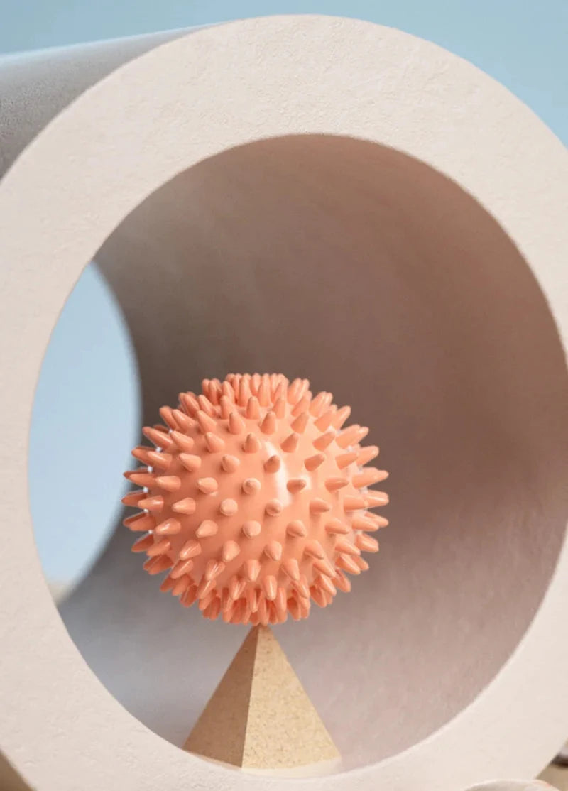 Hedgehog Massage Ball